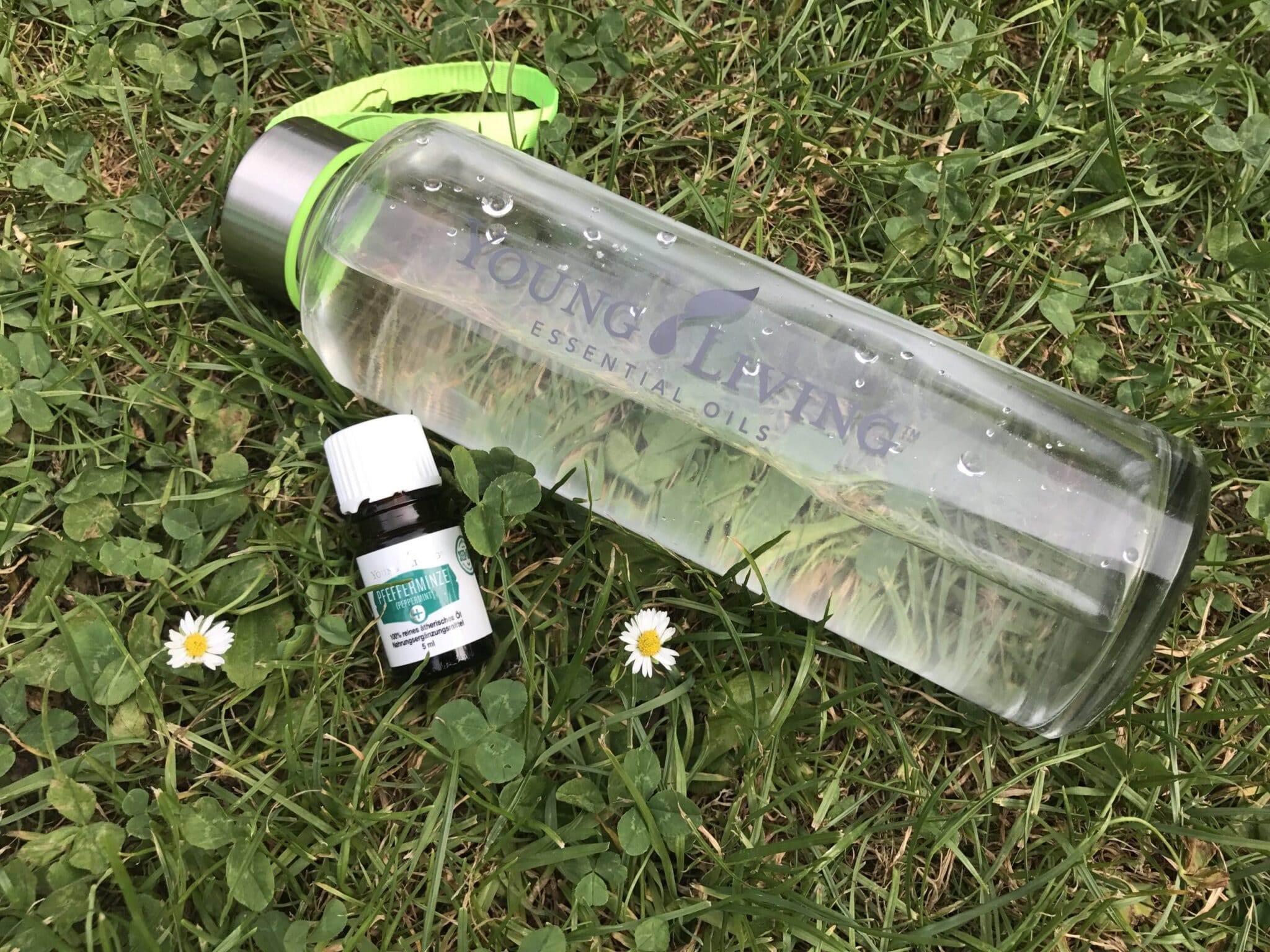 Flasche Wasser mit Pfefferminzöl auf der Wiese im Freibad Herzogenaurach.