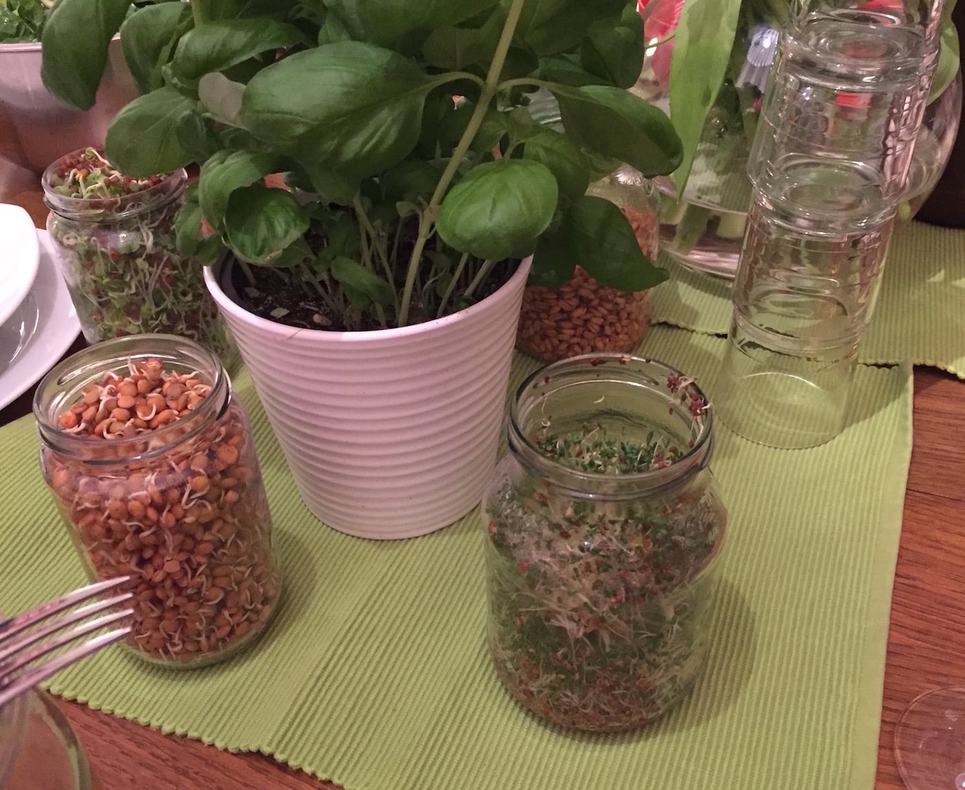 Sprossen auf dem Esstisch beim Rohkostseminar in Herzogenaurach bei Nürnberg